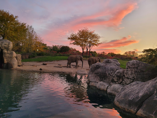 Zoo «Indianapolis Zoo», reviews and photos, 1200 W Washington St, Indianapolis, IN 46222, USA