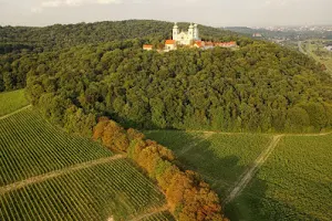Winnica Srebrna Góra image