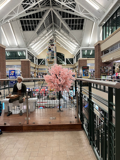 Sporting Goods Store «SCHEELS», reviews and photos, 6503 W 135th St, Overland Park, KS 66223, USA