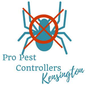 Pro Pest Controllers Kensington - Pest control service