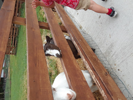 Farm «Goat Milk Stuff», reviews and photos, 76 S Lake Rd N, Scottsburg, IN 47170, USA