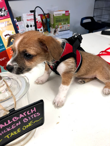 Pet Supply Store «Sonoma Pet and Aquatics», reviews and photos, 201 W Napa St #7, Sonoma, CA 95476, USA