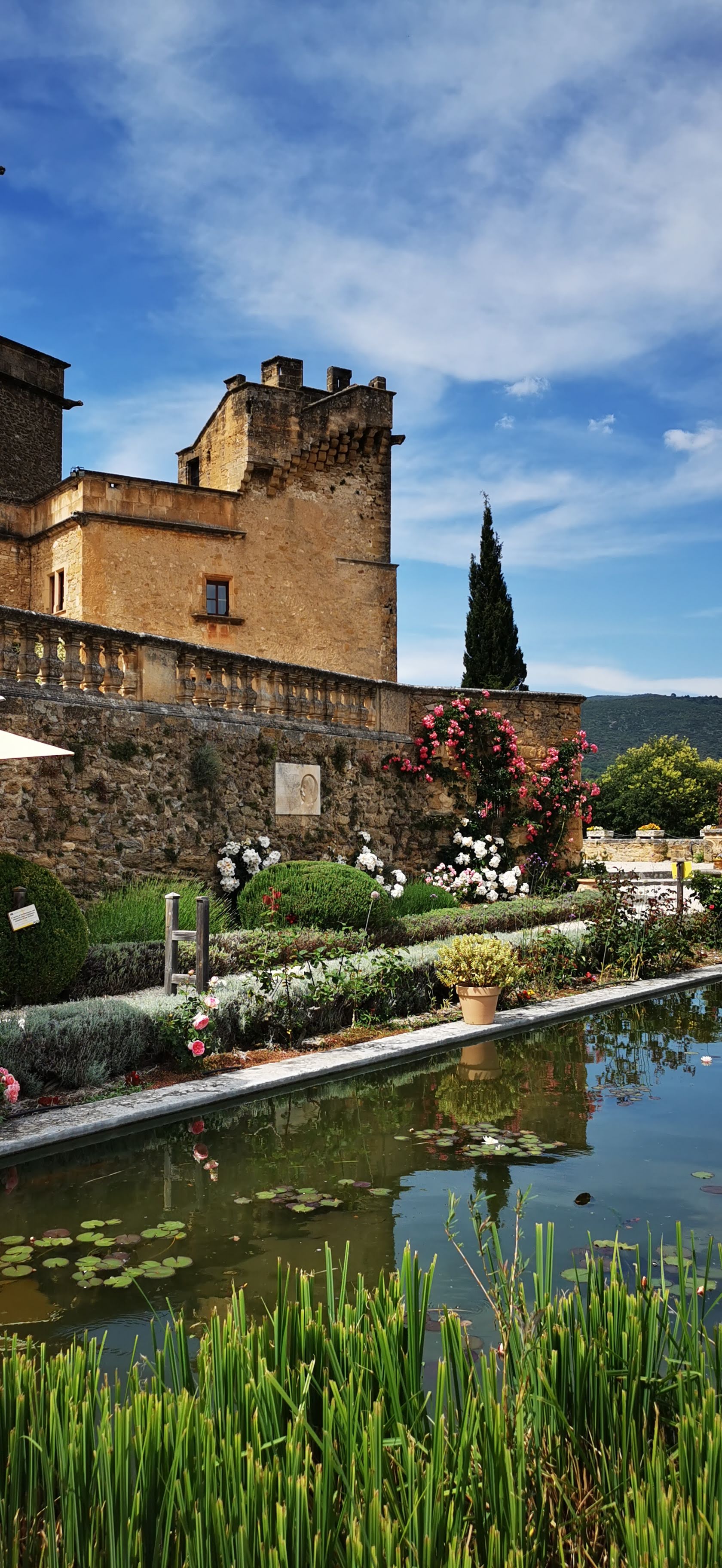 Photo n° 13 de l'avis de Bernard.U fait le 29/05/2021 à 05:58