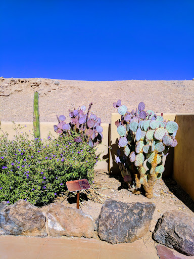 History Museum «Pueblo Grande», reviews and photos, 4619 E Washington St, Phoenix, AZ 85034, USA