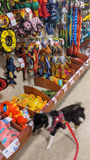 Pet Supply Store «PetSmart», reviews and photos, 2865 Oak Valley Dr, Ann Arbor, MI 48103, USA