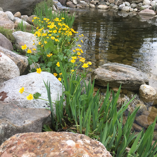 Gift Shop «Pondering Creations Farm», reviews and photos, 101 Allen St, Terryville, CT 06786, USA