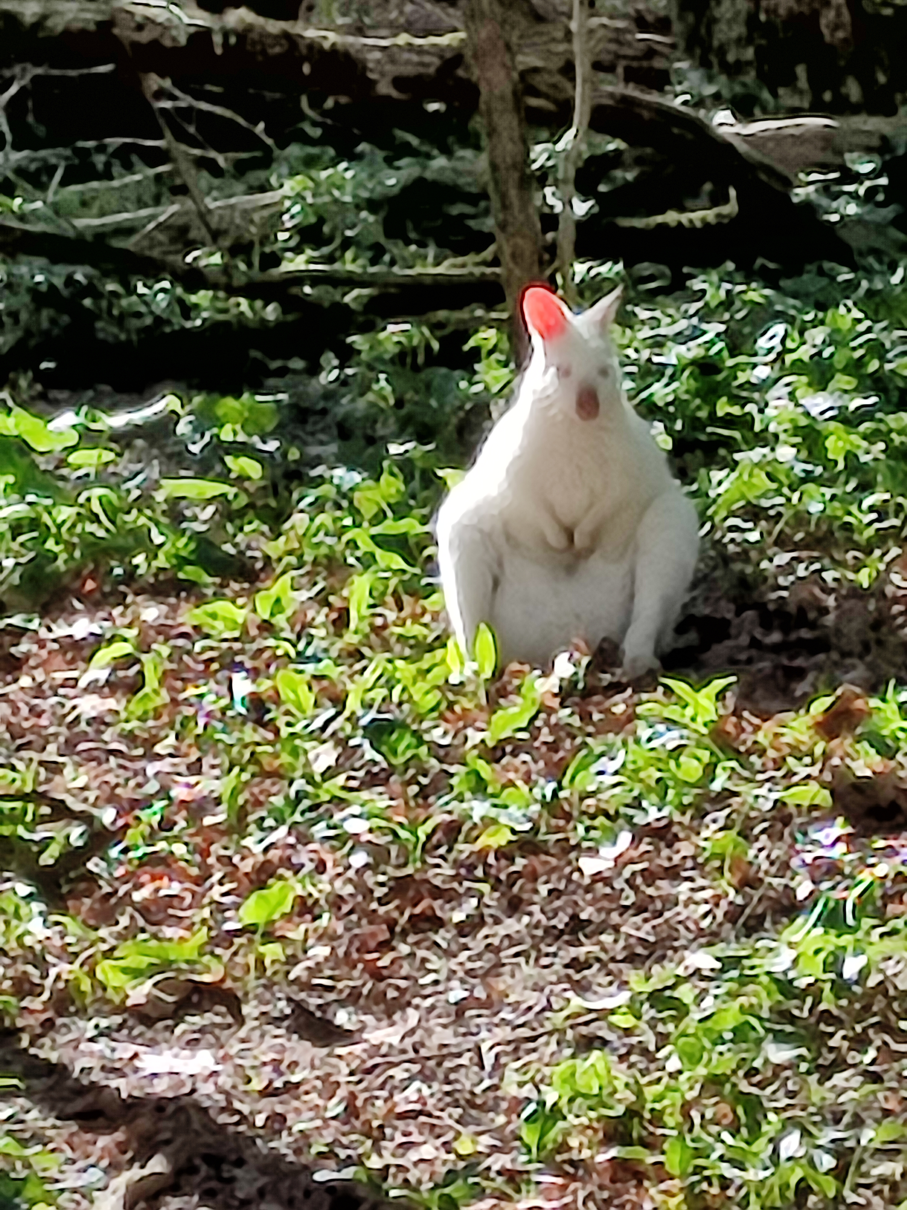 Photo n° 7 de l'avis de Nellie.a fait le 29/04/2023 à 13:47