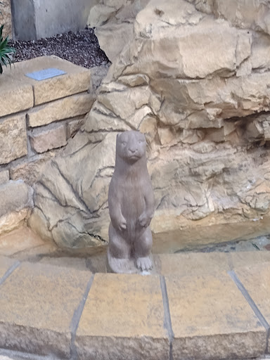 Amusement Park «Edinborough Park», reviews and photos, 7700 York Ave S, Edina, MN 55435, USA