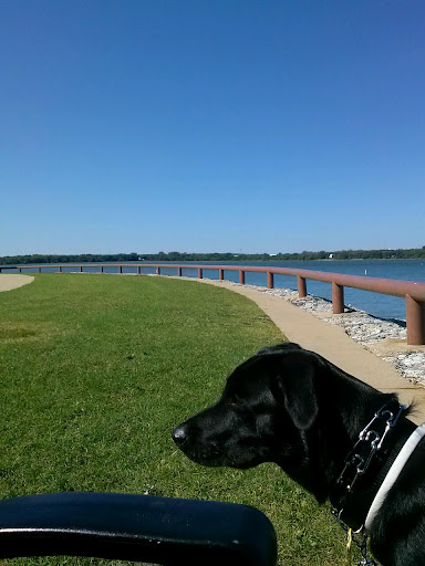 Park «Bowman Springs Park», reviews and photos, 7003 W Poly Webb Rd, Arlington, TX 76016, USA