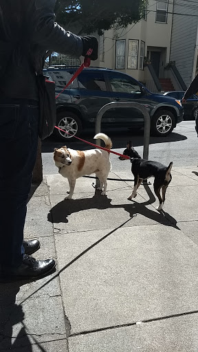 Book Store «Dog Eared Books», reviews and photos, 900 Valencia St, San Francisco, CA 94110, USA