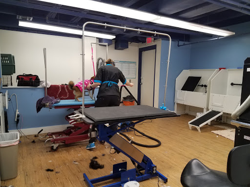 Pet Supply Store «Dogma Bakery», reviews and photos, 2772 S Arlington Mill Dr, Arlington, VA 22206, USA