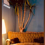 Photo n°2 de l'avis de Chrystalla.h fait le 08/03/2022 à 11:12 sur le  Café Kater à Leipzig