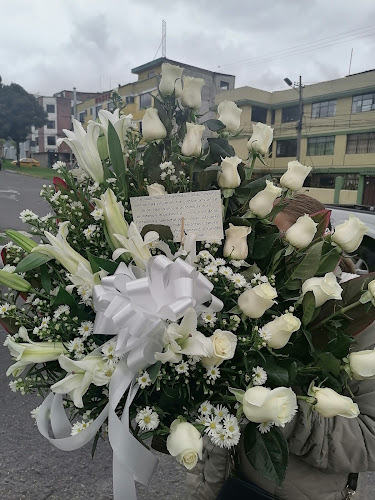 Opiniones de flores a domicilio Quito en Quito - Floristería