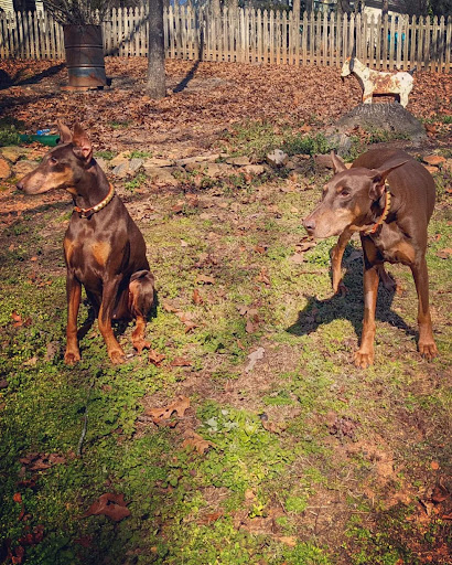 Pet Supply Store «Rucker Horse & Pet», reviews and photos, 3540 Keith Bridge Rd, Cumming, GA 30041, USA