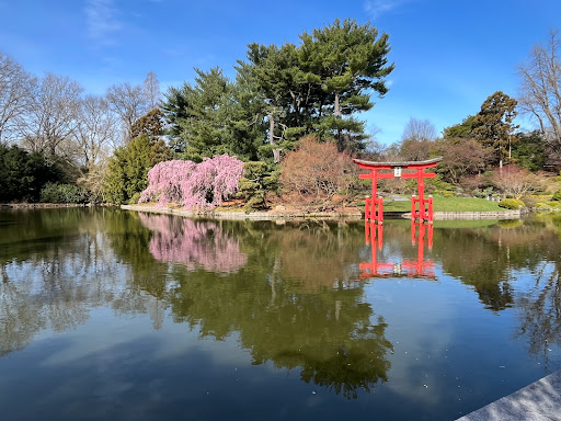 Brooklyn Botanic Garden