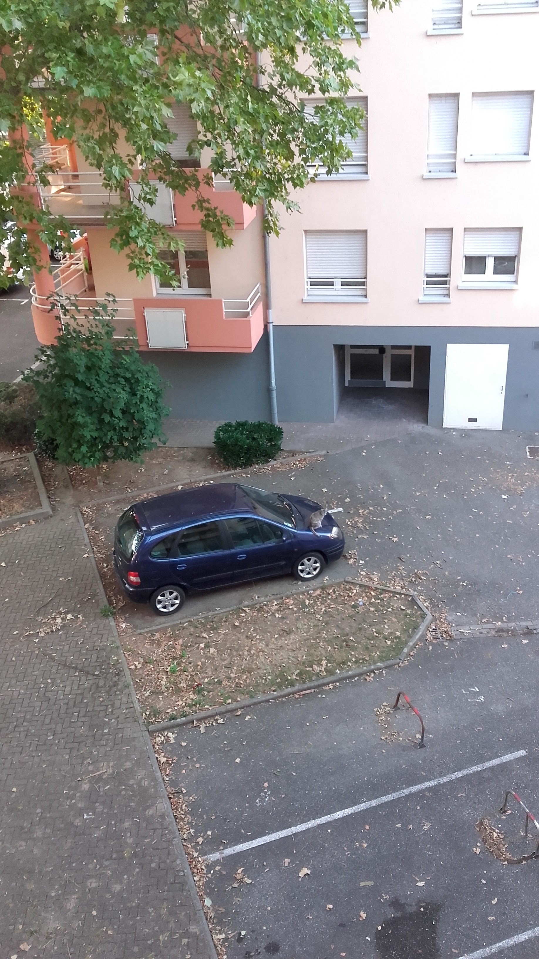 Photo n° 1 de l'avis de Roland.c fait le 05/09/2018 à 14:11