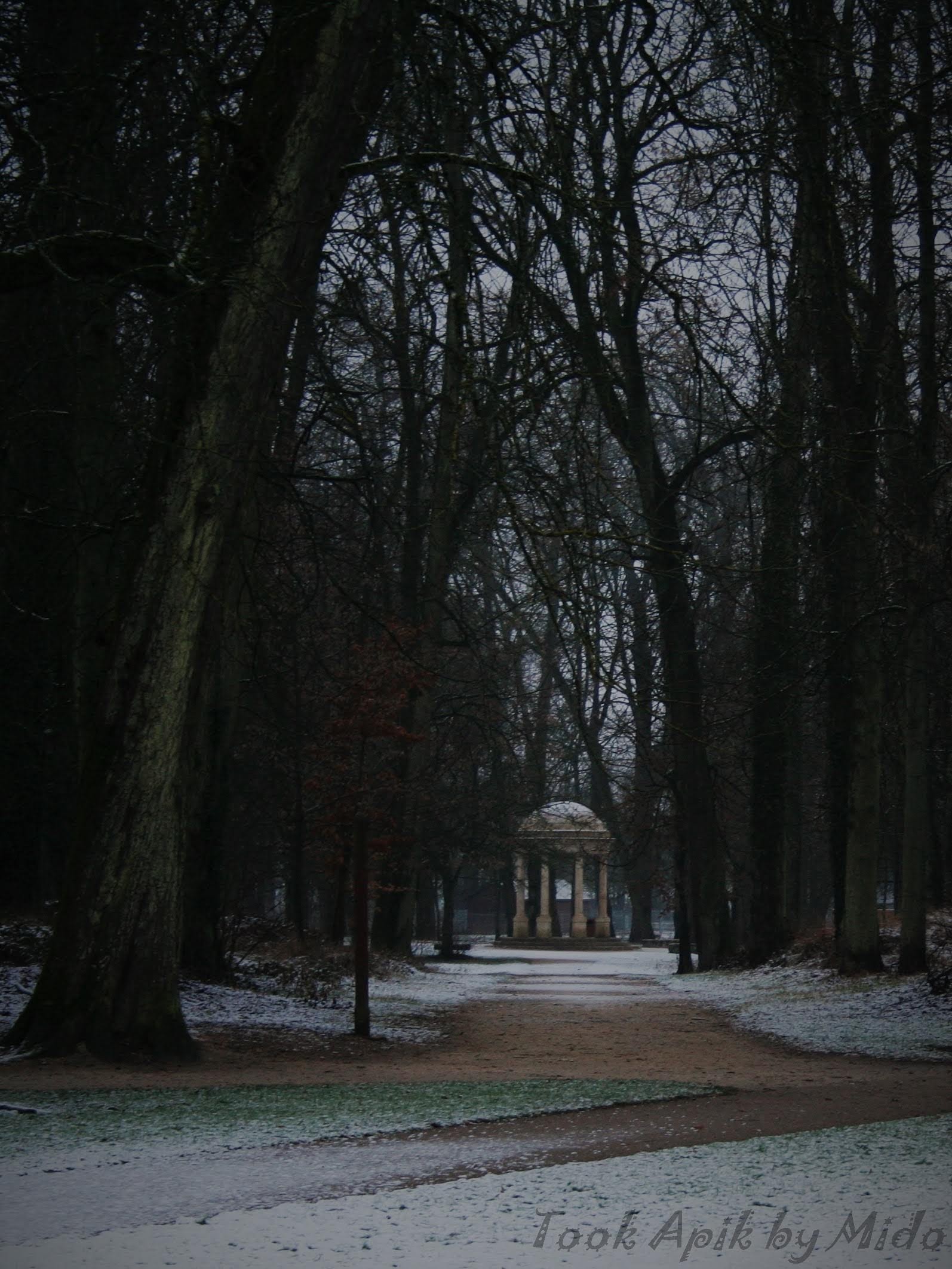 Photo n° 8 de l'avis de Mi.o fait le 26/06/2019 à 06:26