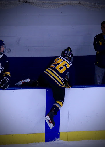 Ice Skating Rink «The Edge Ice Arena», reviews and photos, 735 E Jefferson St, Bensenville, IL 60106, USA