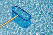 Affordable Pool Care - Car repair in , San Mateo - Rated 5.0/5