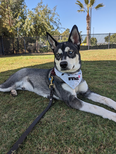 OC Animal Care image