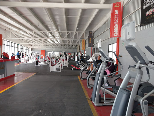 Lion's Gym