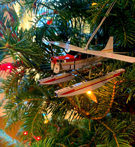 Tourist Attraction «Jones Brothers Air & Seaplane Adventures», reviews and photos, 150 E Ruby St, Tavares, FL 32778, USA