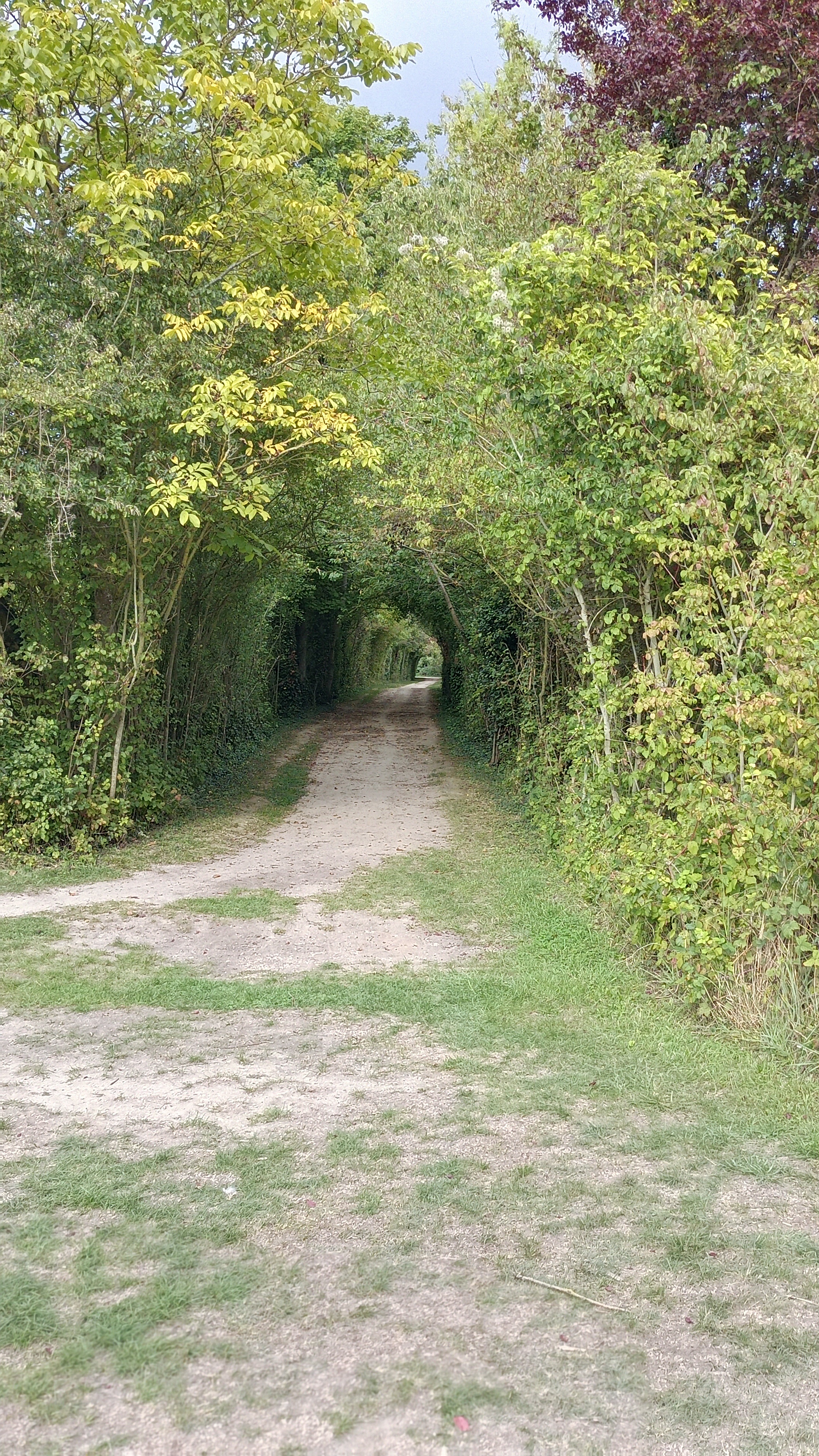 Photo n° 4 de l'avis de Mylène.a fait le 26/09/2022 à 23:44