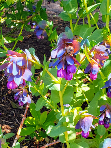 Natural Foods Store «PCC Natural Markets - Greenlake Aurora», reviews and photos, 7504 Aurora Ave N, Seattle, WA 98103, USA