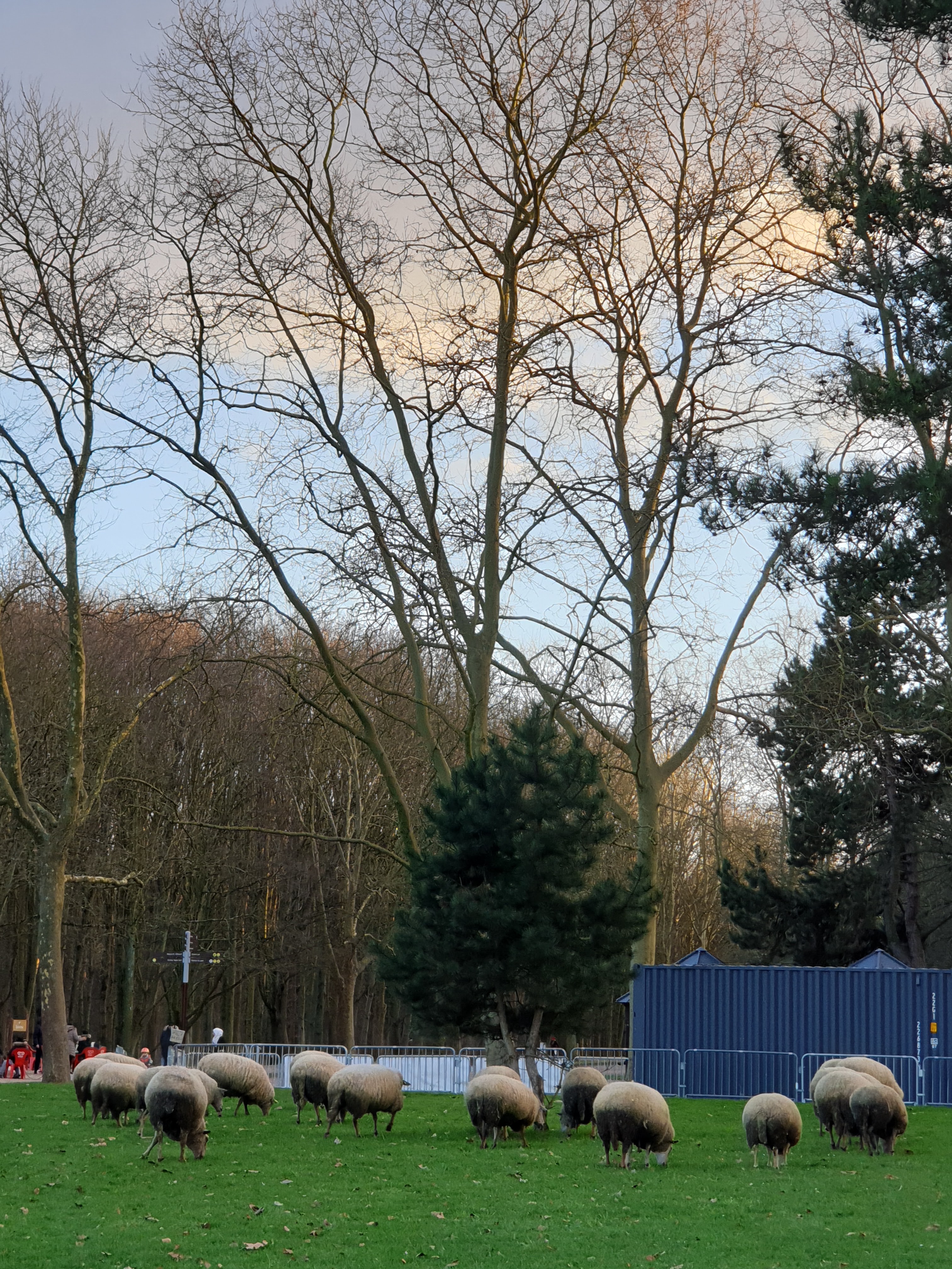 Photo n° 27 de l'avis de Maria.o fait le 01/01/2018 à 17:41