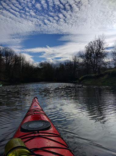 Nature Preserve «Smith and Bybee Wetlands Natural Area», reviews and photos, 5300 N Marine Dr, Portland, OR 97203, USA