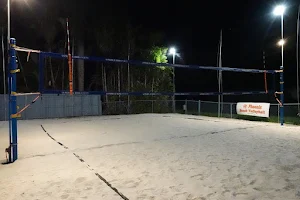Backyard Beach Volleyball image