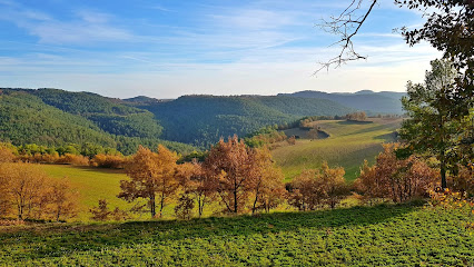 Pinell De Solsonès - 25286, Lleida, Spain