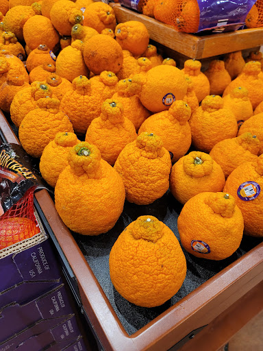 Grocery Store «The Fresh Market», reviews and photos, 100 Welsh Rd, Horsham, PA 19044, USA