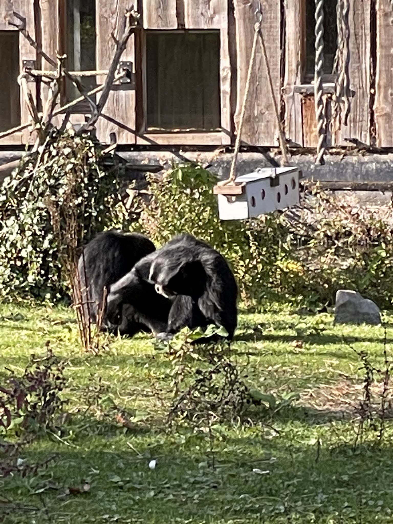 Photo n° 3 de l'avis de Clément.l fait le 19/10/2021 à 08:42