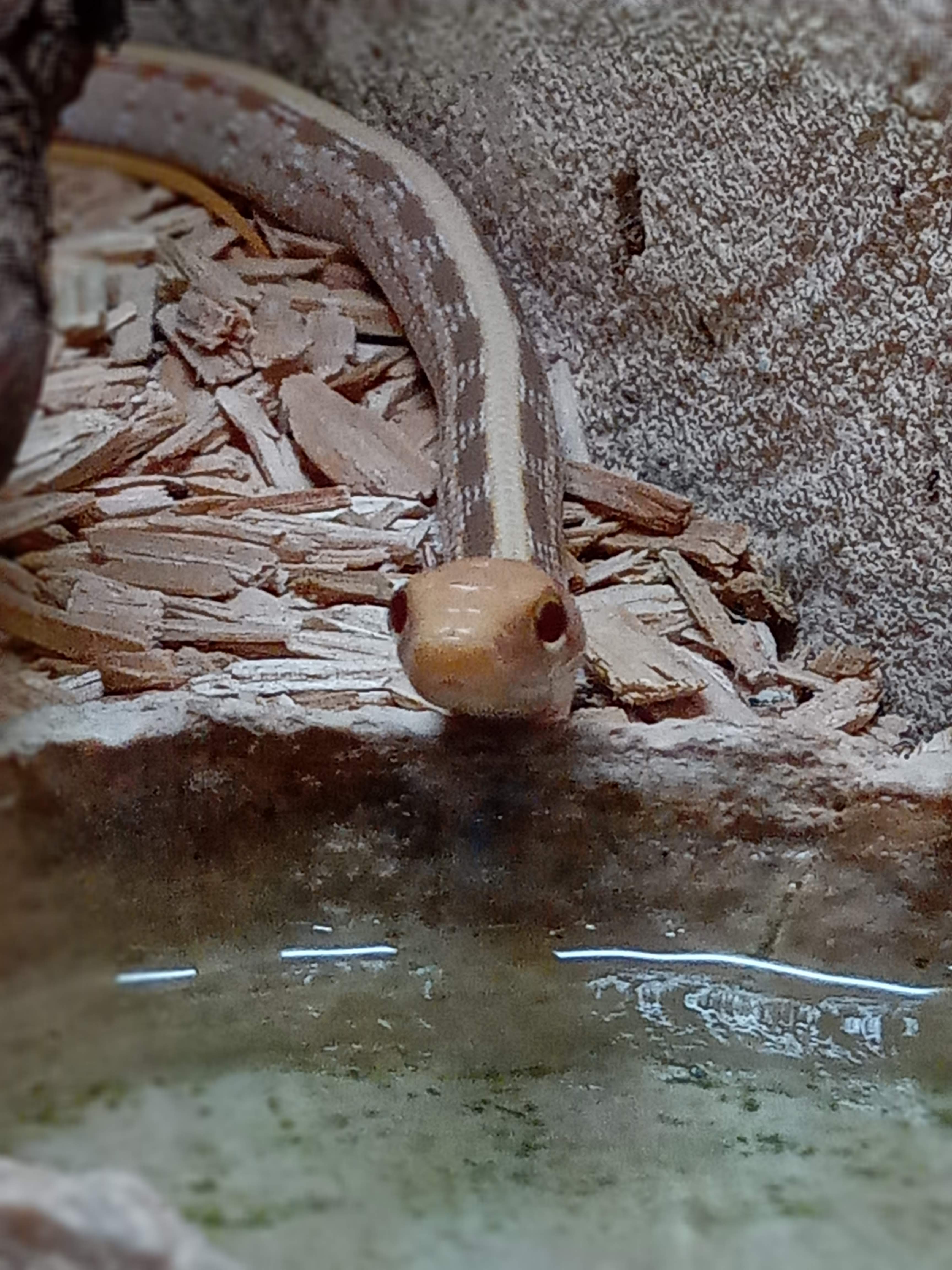 Photo n° 7 de l'avis de Corinne.l fait le 18/08/2020 à 12:53