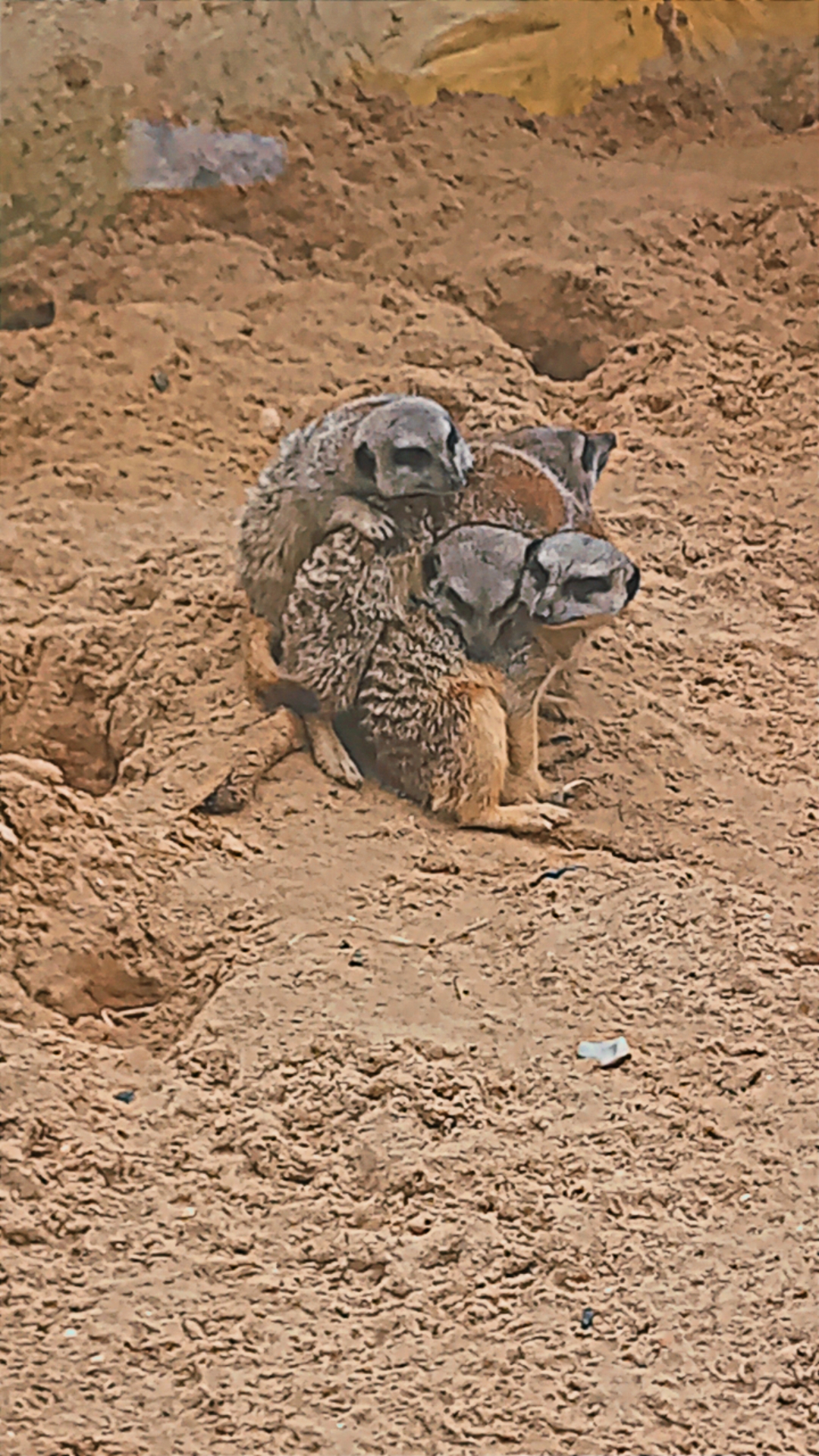 Photo n° 8 de l'avis de Corinne.h fait le 02/09/2023 à 09:38