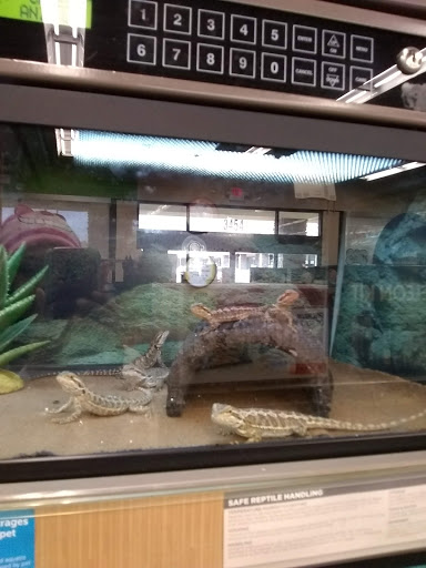 Pet Supply Store «Petco Animal Supplies», reviews and photos, 3454 Palmer Dr #7a, Cameron Park, CA 95682, USA