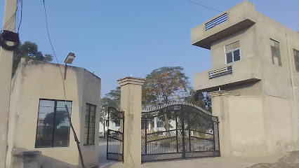 Choudhary COLLEGE