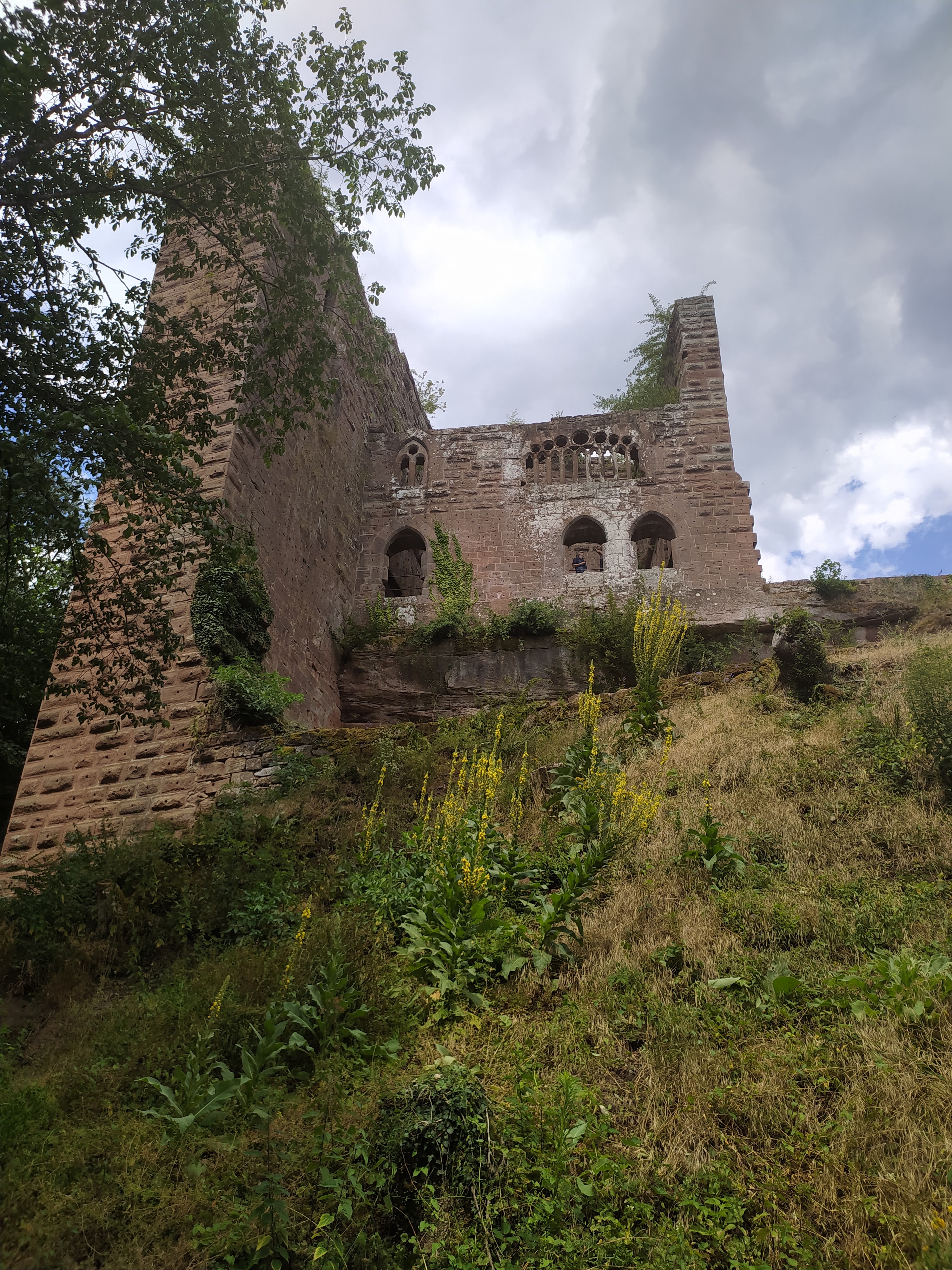 Photo n° 4 de l'avis de Laura.a fait le 14/07/2020 à 16:22