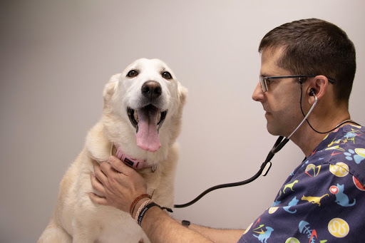 Consultorio Veterinario Las Labradas en Tudela