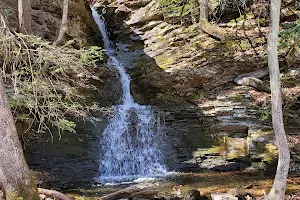 Sprague Land Preserve image