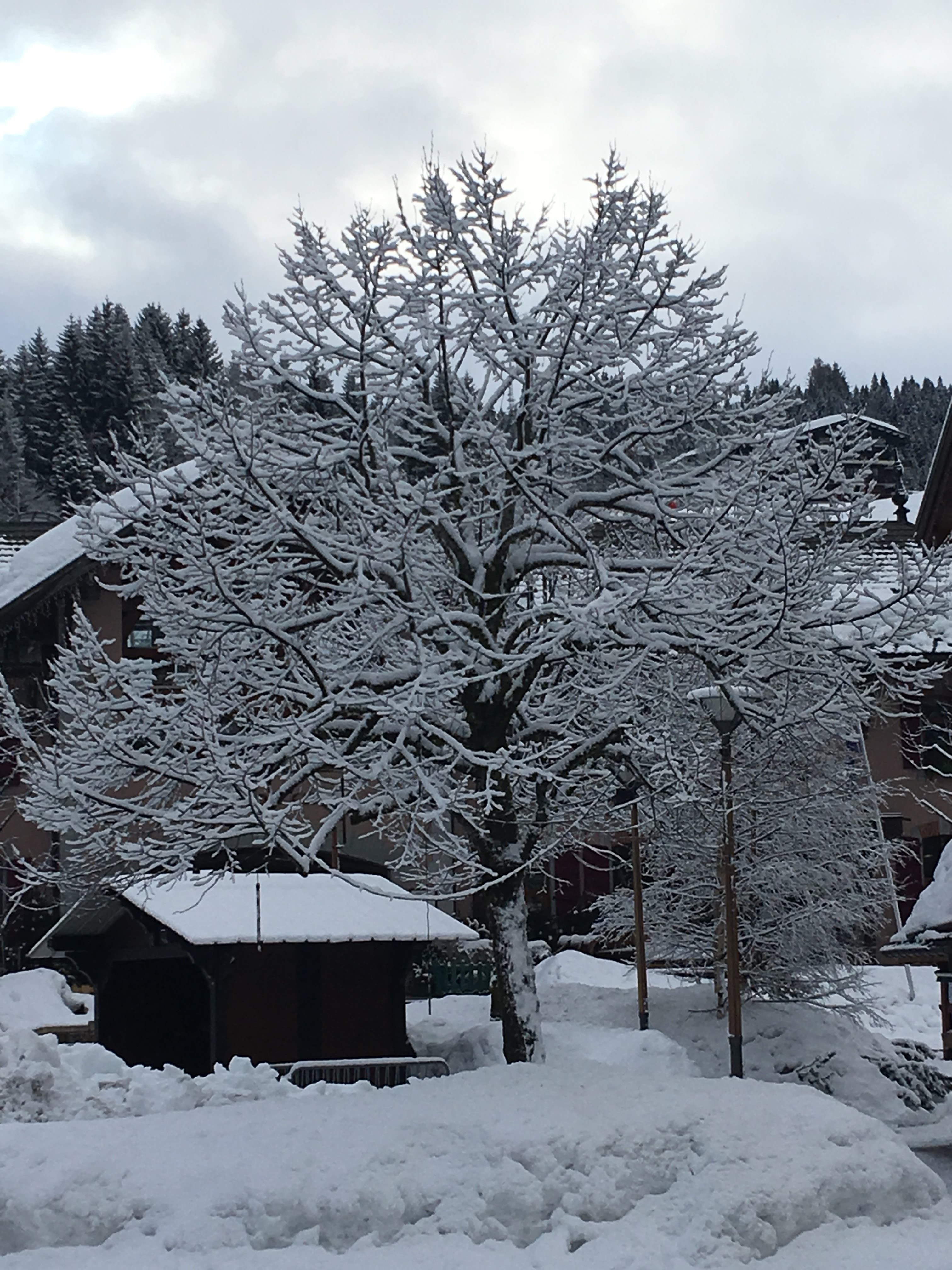 Photo n° 2 de l'avis de Christophe.o fait le 11/03/2018 à 21:34