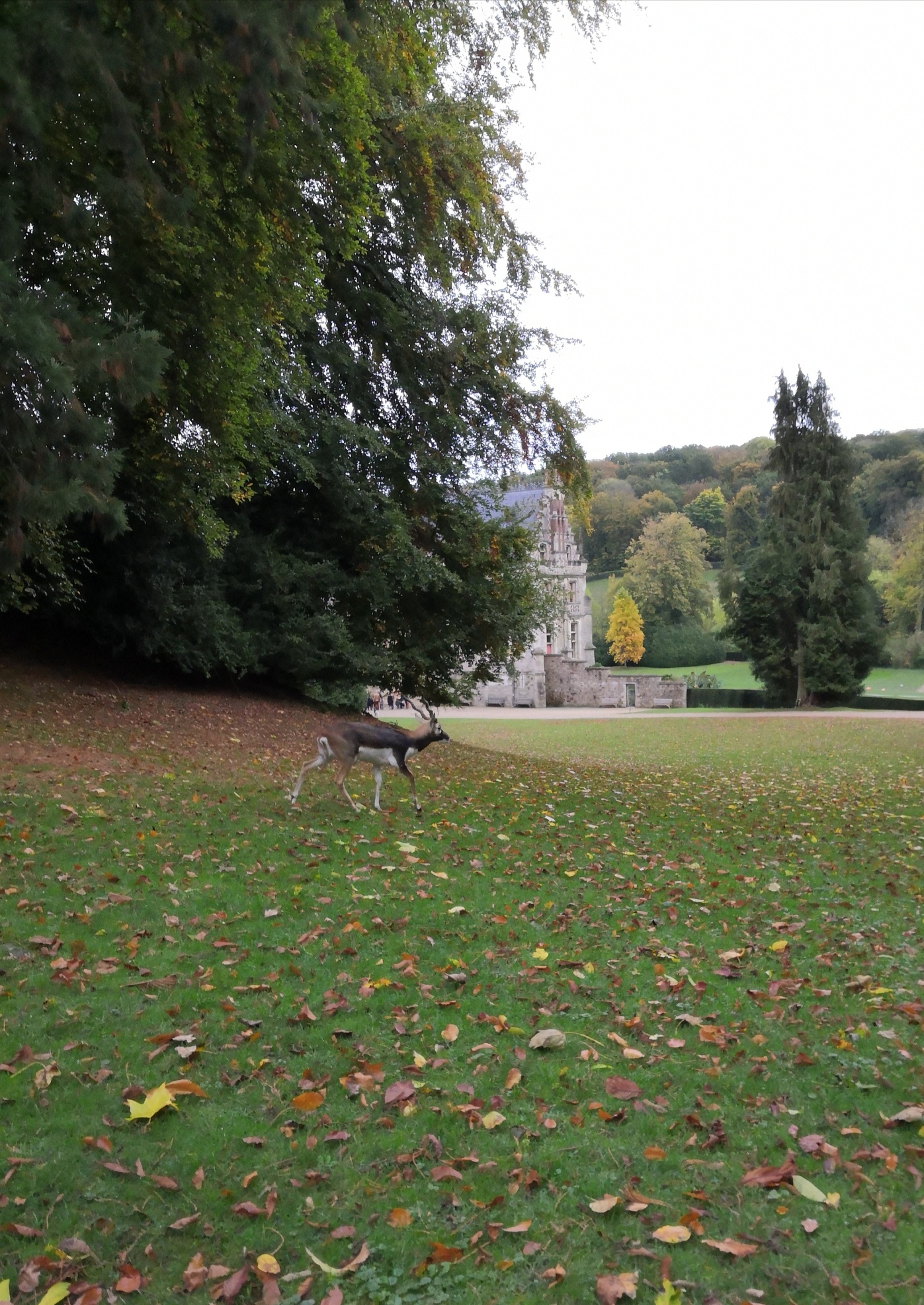 Photo n° 2 de l'avis de Thibault.� fait le 11/11/2021 à 11:36