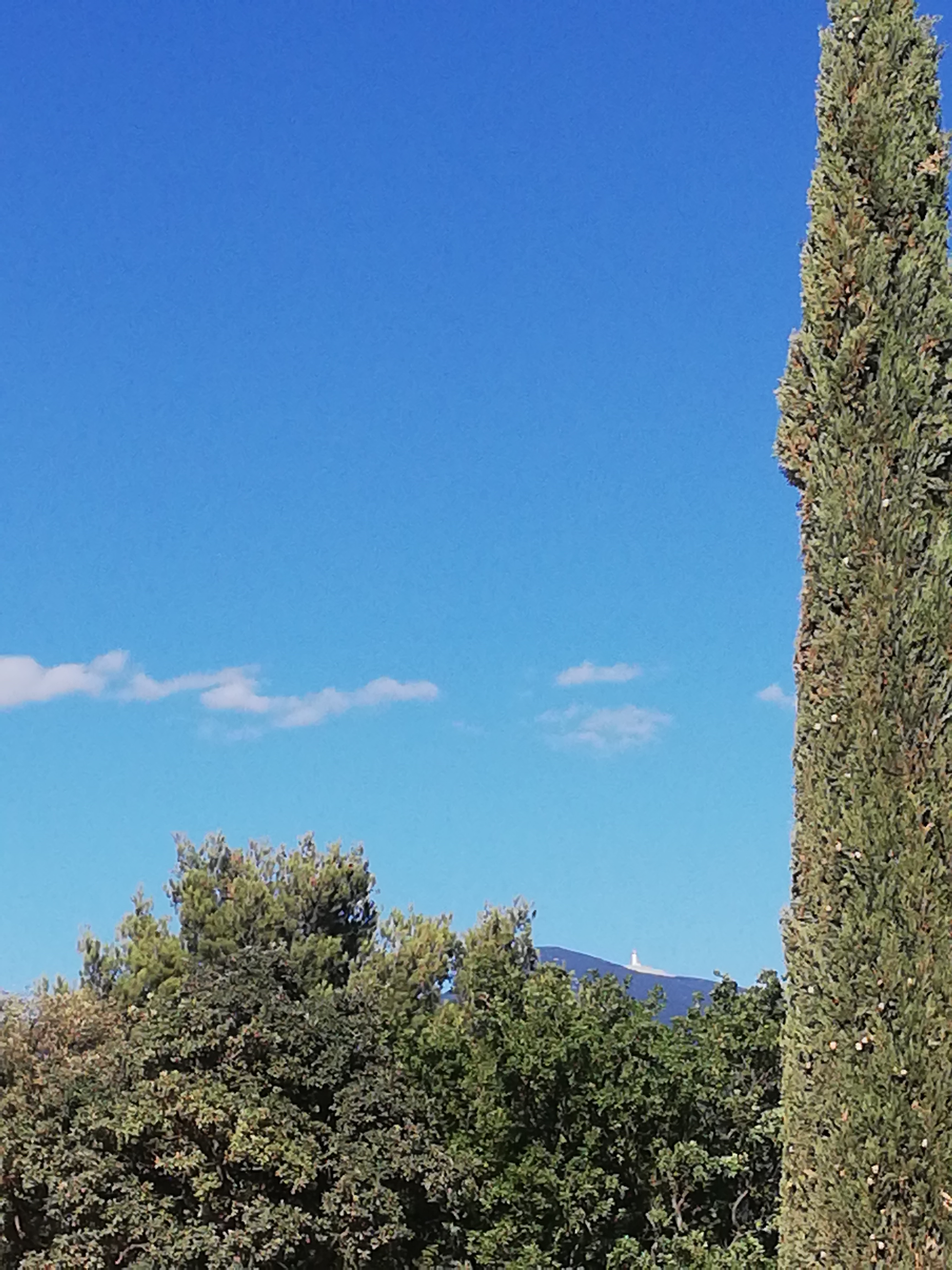 Photo n° 2 de l'avis de Lahire.4 fait le 05/09/2019 à 18:25