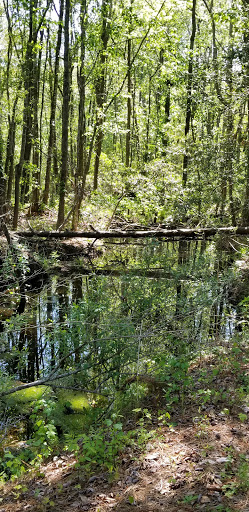 Golf Course «Witch Golf Links», reviews and photos, 1900 SC-544, Conway, SC 29526, USA