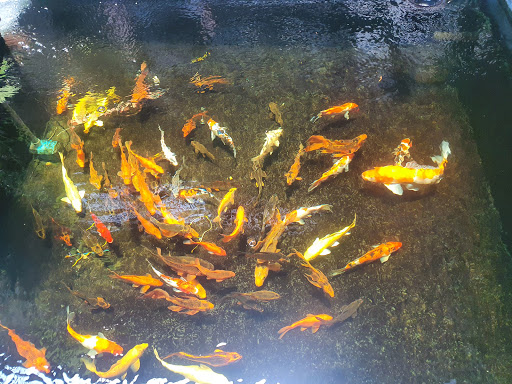 Top 20 quán cafe sân vườn Thành phố Đông Hà Quảng Trị 2022