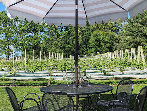 Winery «Diliberto Winery», reviews and photos, 250 Manor Ln, Riverhead, NY 11901, USA