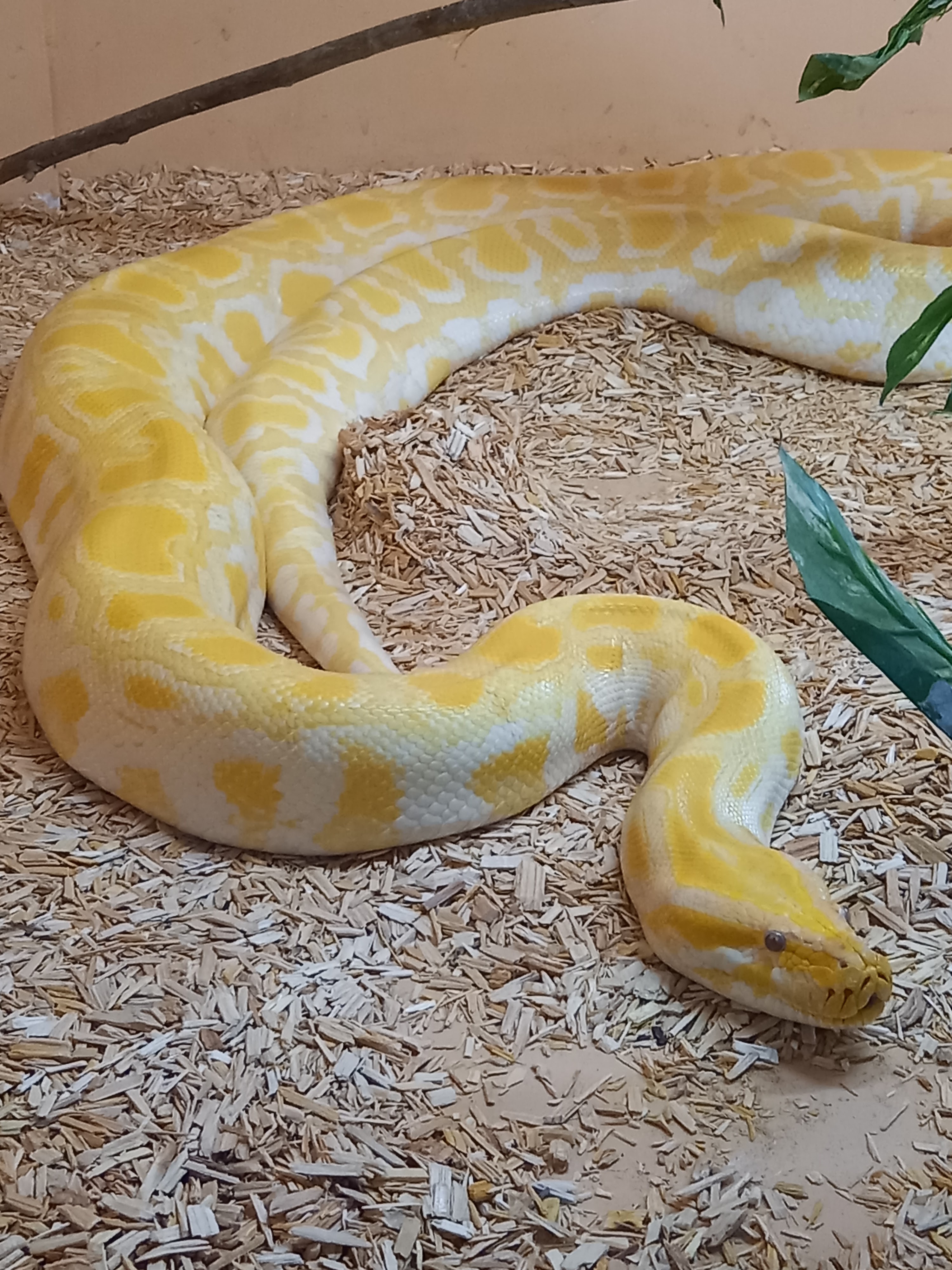 Photo n° 2 de l'avis de Sylvie.o fait le 18/07/2022 à 21:21