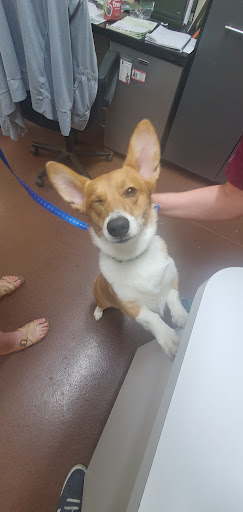 Pet Supply Store «Champion Feed & Pet Supply», reviews and photos, 2524 State Rte 37 E, Delaware, OH 43015, USA