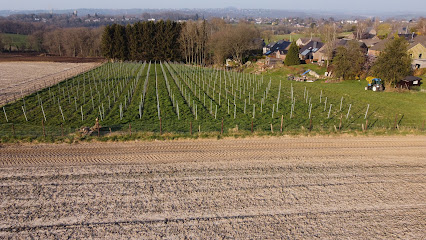 Domaine Bellum Fagetum